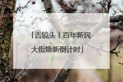 吉镜头丨百年新民大街焕新倒计时
