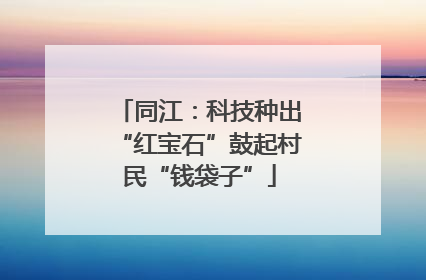 同江：科技种出“红宝石”鼓起村民“钱袋子”