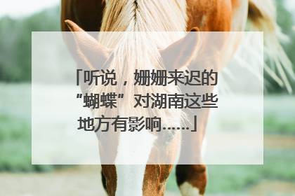 听说，姗姗来迟的“蝴蝶”对湖南这些地方有影响……