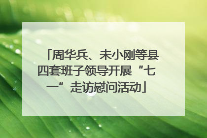 周华兵、未小刚等县四套班子领导开展“七一”走访慰问活动