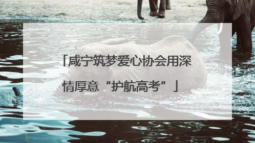 咸宁筑梦爱心协会用深情厚意“护航高考”