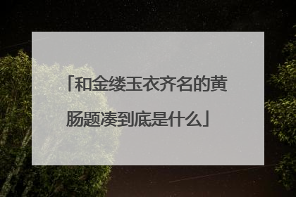 和金缕玉衣齐名的黄肠题凑到底是什么