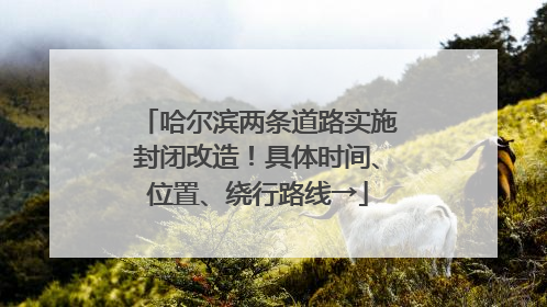 哈尔滨两条道路实施封闭改造！具体时间、位置、绕行路线→