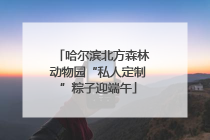 哈尔滨北方森林动物园“私人定制”粽子迎端午