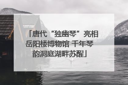 唐代“独幽琴”亮相岳阳楼博物馆 千年琴韵洞庭湖畔苏醒