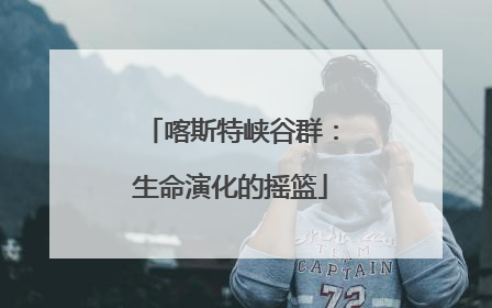 喀斯特峡谷群：生命演化的摇篮