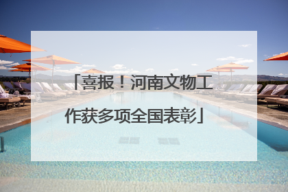 喜报！河南文物工作获多项全国表彰
