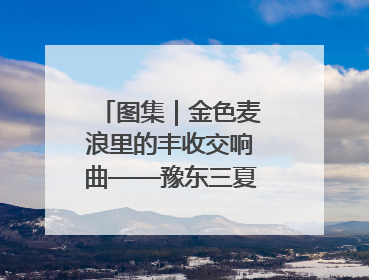 图集｜金色麦浪里的丰收交响曲——豫东三夏抢收纪实
