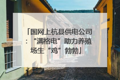 国网上杭县供电公司：“满格电”助力养殖场生“鸡”勃勃