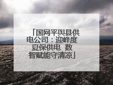 国网平舆县供电公司：迎峰度夏保供电  数智赋能守清凉