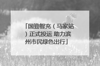 国勤智充（马家站）正式投运 助力滨州市民绿色出行