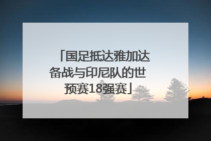 国足抵达雅加达备战与印尼队的世预赛18强赛