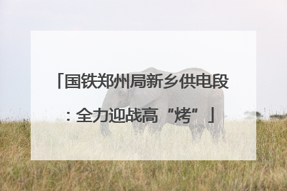 国铁郑州局新乡供电段：全力迎战高“烤”