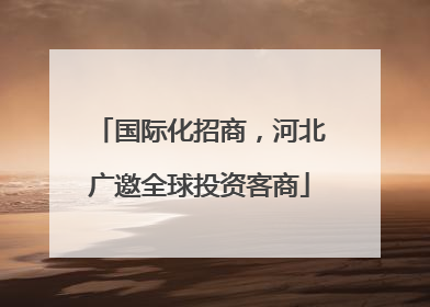 国际化招商，河北广邀全球投资客商