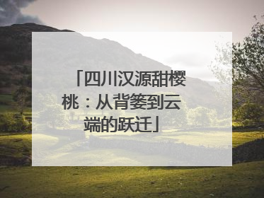 四川汉源甜樱桃：从背篓到云端的跃迁