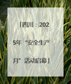 四川：2025年“安全生产月”活动启幕