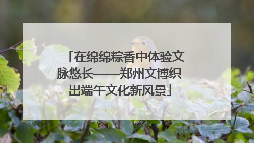 在绵绵粽香中体验文脉悠长——郑州文博织出端午文化新风景