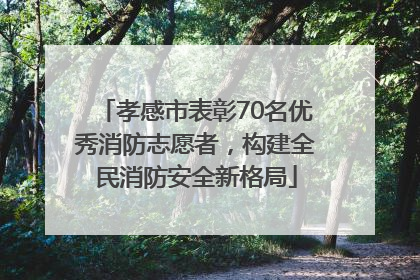 孝感市表彰70名优秀消防志愿者，构建全民消防安全新格局