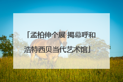 孟柏伸个展 揭幕呼和浩特西贝当代艺术馆