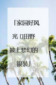 家园好风光 ⎮田野披上梦幻的银装