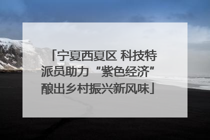 宁夏西夏区 科技特派员助力“紫色经济”酿出乡村振兴新风味