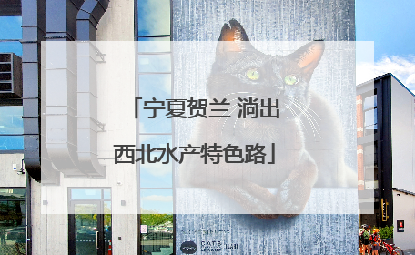 宁夏贺兰 淌出西北水产特色路