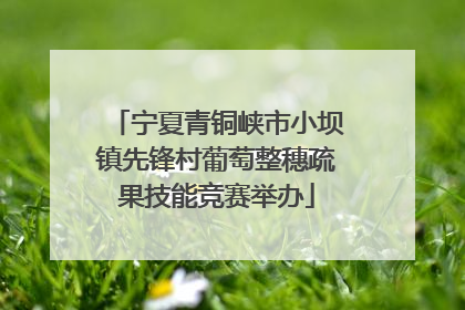 宁夏青铜峡市小坝镇先锋村葡萄整穗疏果技能竞赛举办