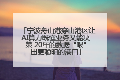 宁波舟山港穿山港区让AI算力既懂业务又能决策 20年的数据“喂”出更聪明的港口