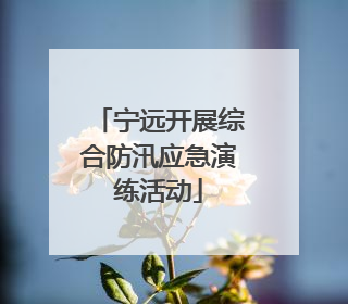 宁远开展综合防汛应急演练活动