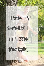 宁远：早熟黄桃新上市 生态种植助增收