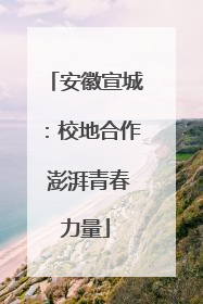 安徽宣城：校地合作 澎湃青春力量
