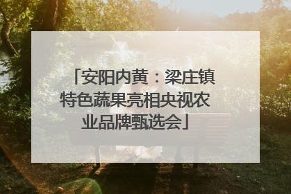 安阳内黄：梁庄镇特色蔬果亮相央视农业品牌甄选会