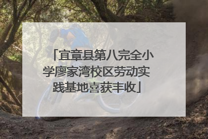 宜章县第八完全小学廖家湾校区劳动实践基地喜获丰收