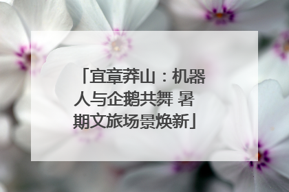 宜章莽山：机器人与企鹅共舞 暑期文旅场景焕新