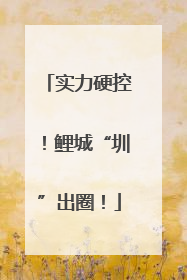 实力硬控！鲤城“圳”出圈！