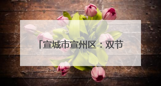 宣城市宣州区：双节同庆 “粽”享欢乐