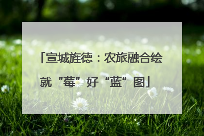 宣城旌德：农旅融合绘就“莓”好“蓝”图