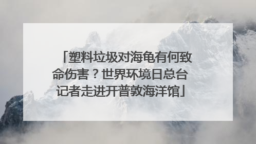 塑料垃圾对海龟有何致命伤害？世界环境日总台记者走进开普敦海洋馆