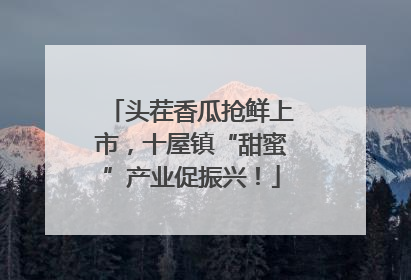 头茬香瓜抢鲜上市，十屋镇“甜蜜”产业促振兴！