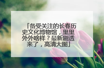 备受关注的长春历史文化博物馆，里里外外啥样？最新剧透来了，高清大图