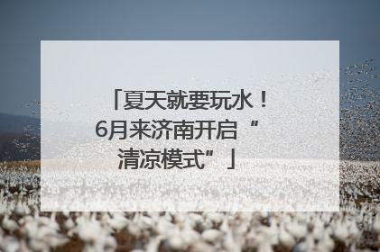 夏天就要玩水！6月来济南开启“清凉模式”