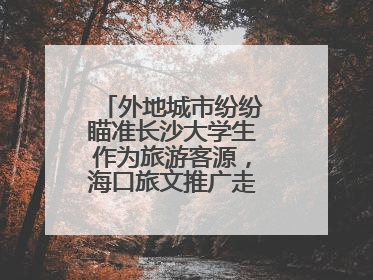 外地城市纷纷瞄准长沙大学生作为旅游客源，海口旅文推广走上星城街头