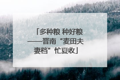 多种粮 种好粮——晋南“麦田夫妻档”忙夏收