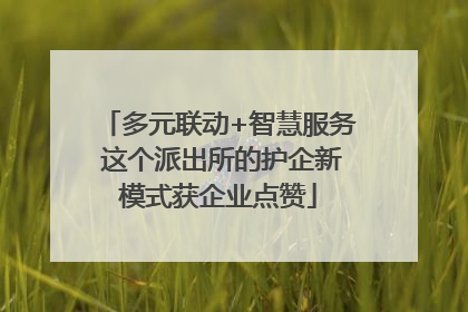 多元联动+智慧服务 这个派出所的护企新模式获企业点赞