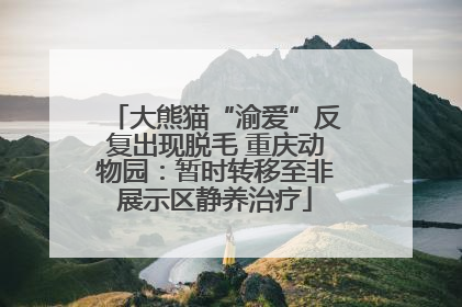 大熊猫“渝爱”反复出现脱毛 重庆动物园：暂时转移至非展示区静养治疗