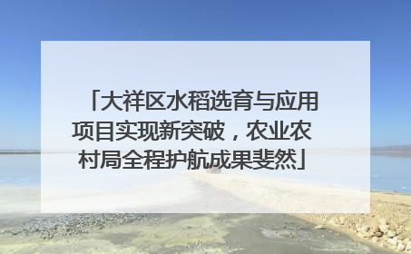 大祥区水稻选育与应用项目实现新突破，农业农村局全程护航成果斐然