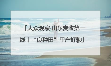 大众观察·山东麦收第一线丨“良种田”里产好粮