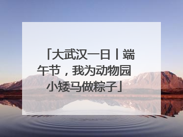 大武汉一日丨端午节，我为动物园小矮马做粽子
