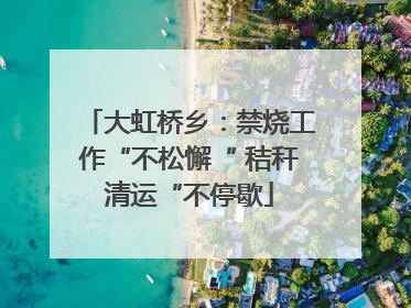 大虹桥乡：禁烧工作“不松懈“ 秸秆清运“不停歇