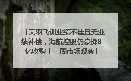 天羽飞训业绩不佳且无业绩补偿，海航控股仍豪掷8亿收购丨一周市场观察